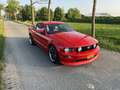 Ford Mustang GT 4.6L V8 manual Rood - thumbnail 2