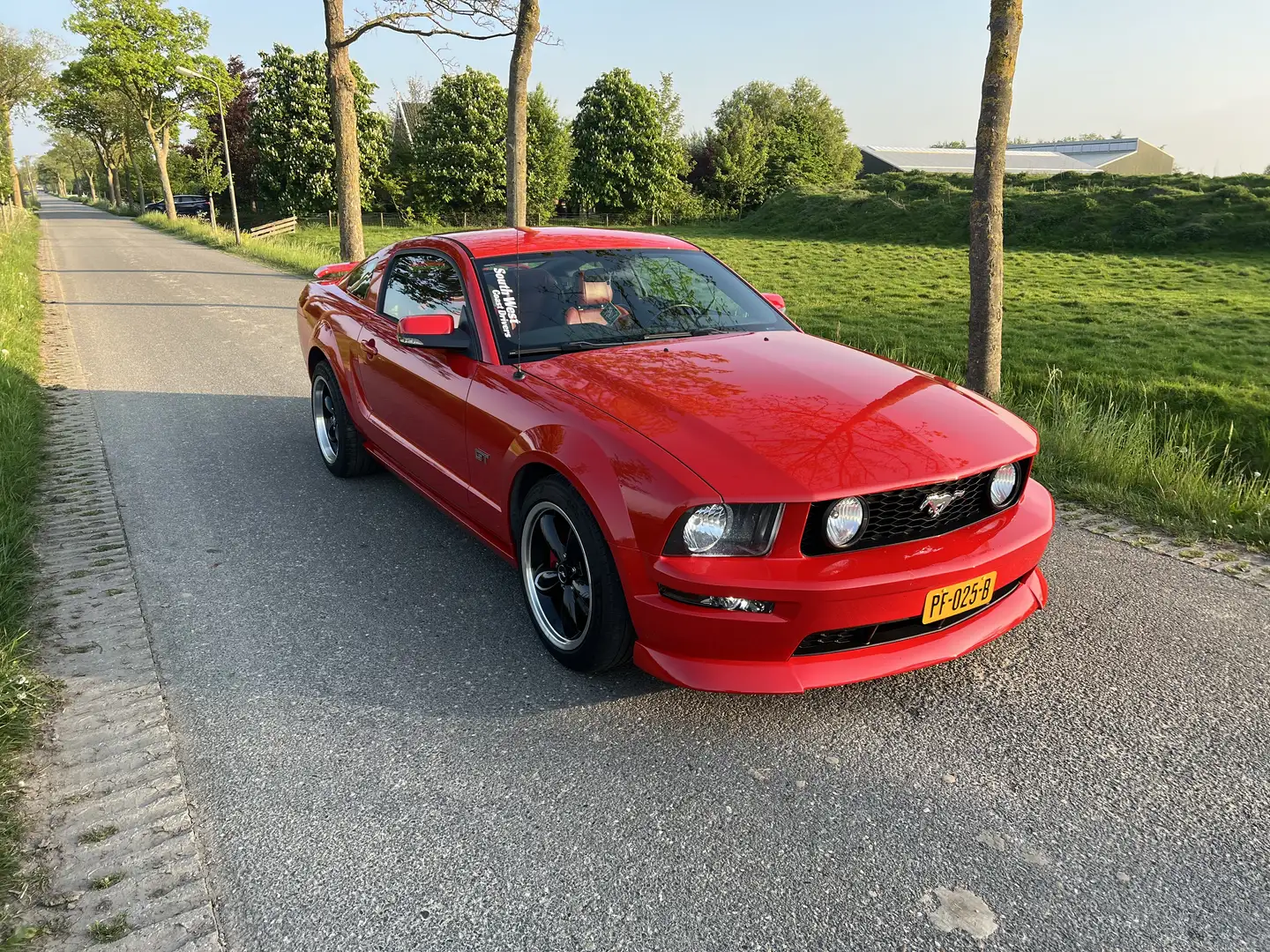 Ford Mustang GT 4.6L V8 manual Rood - 2