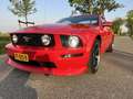Ford Mustang GT 4.6L V8 manual Rood - thumbnail 6