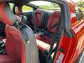 Ford Mustang GT 4.6L V8 manual Rood - thumbnail 11