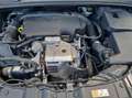 Ford Focus Lim. Edition+PDC+autom Parkpilot+Sitzhzg Grau - thumbnail 20