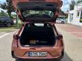Lexus LBX 1,5 Hybrid Automatik FWD 5Trg. mit Komfort Paket Rouge - thumbnail 13