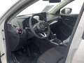 Mazda 2 Homura 1.5 SKYACTIV-G 90 EU6d AD Apple CarPlay And White - thumbnail 9