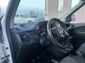 Fiat Doblo COIBENTATO 3 POSTI TRASPORTO ALIMENT E FARMACI ECC Weiß - thumbnail 12