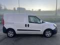 Fiat Doblo COIBENTATO 3 POSTI TRASPORTO ALIMENT E FARMACI ECC Weiß - thumbnail 3