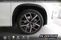 Volkswagen Tayron R-Line 2.0 TDI 4-M. Standh. Matrix Pano 20Z Weiß - thumbnail 7