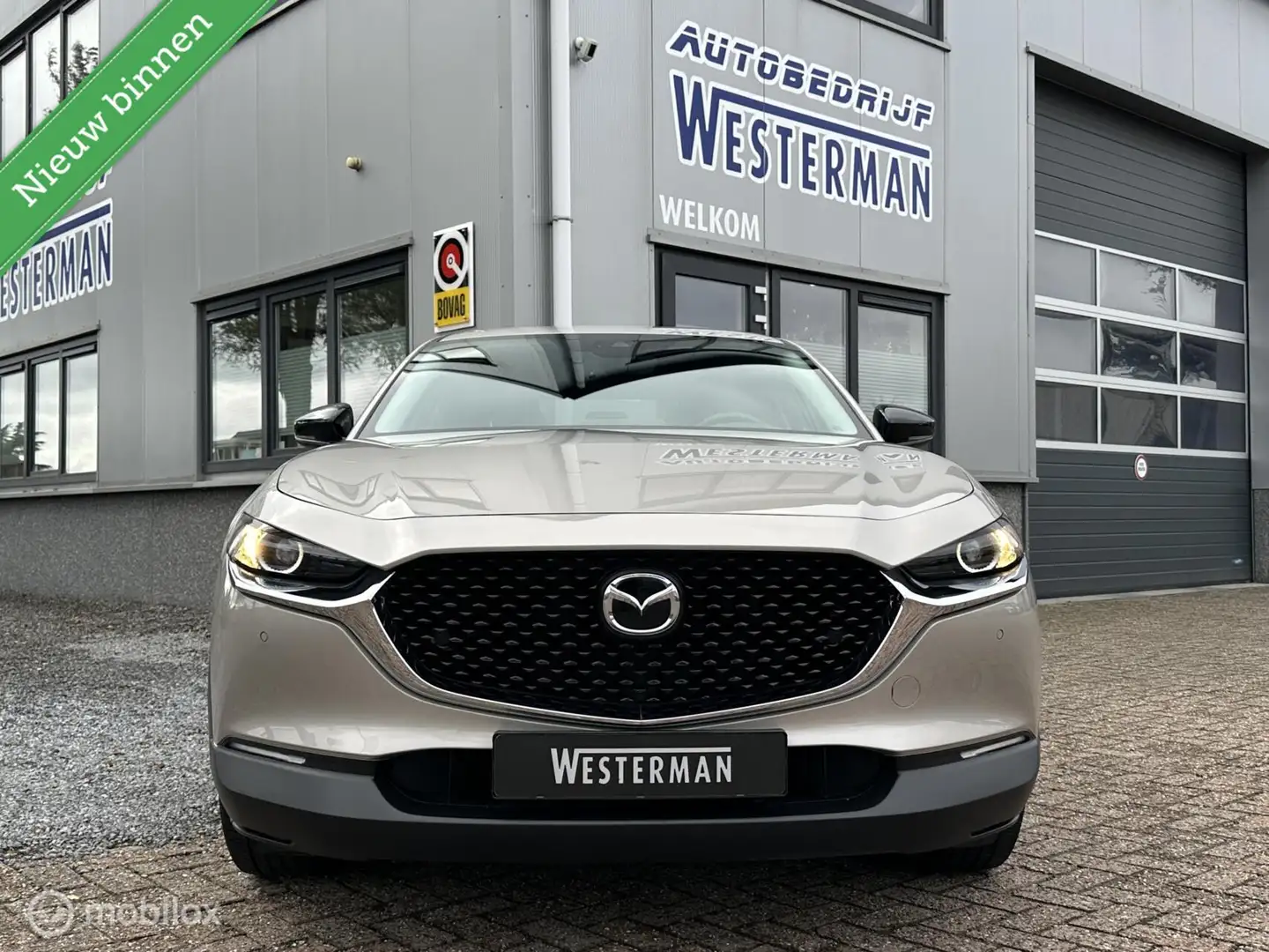 Mazda CX-30 2.0 e-SkyActiv M Hybrid 150Pk Homura Acc Trekh. Ca Grijs - 2