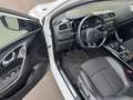 Renault Kadjar 1.5dci Limited 2WD  - nur 82000km TOP! Weiß - thumbnail 12