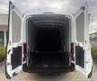 Ford Transit Kasten 2,0 EcoBlue L2H2 290 Trend Weiß - thumbnail 5