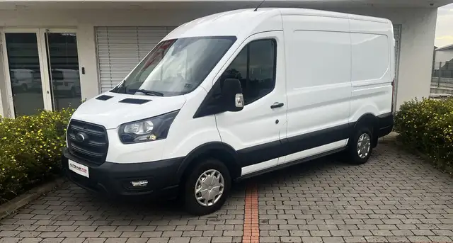 Ford Transit Kasten 2,0 EcoBlue L2H2 290 Trend