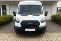 Ford Transit Kasten 2,0 EcoBlue L2H2 290 Trend Weiß - thumbnail 4