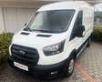 Ford Transit Kasten 2,0 EcoBlue L2H2 290 Trend Weiß - thumbnail 2