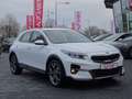Kia XCeed 1.5 T-GDI Vision LED Navi ACC Kamera DAB Weiß - thumbnail 7