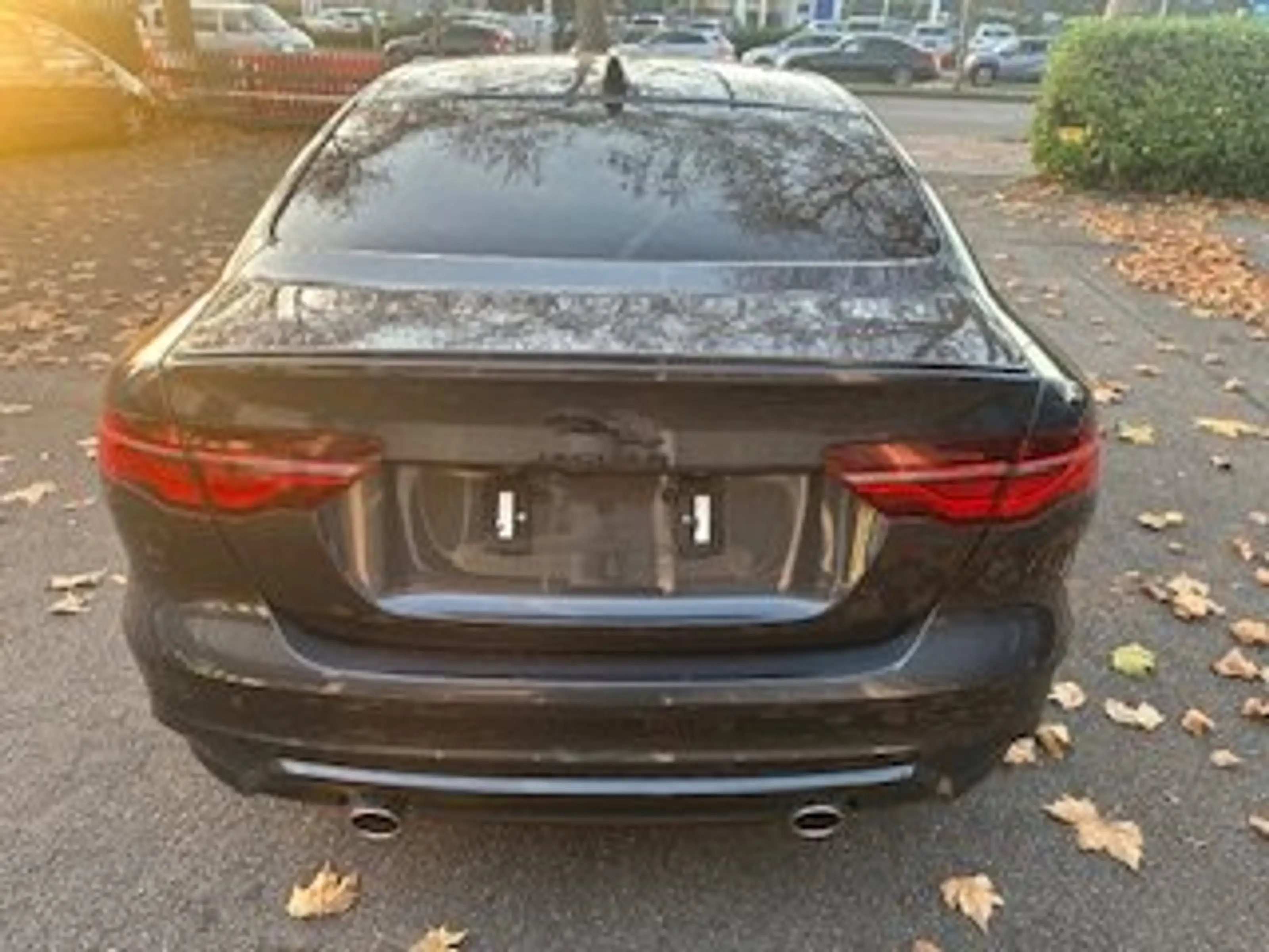 Jaguar XE R-Dynamic SE AWD — photo 6