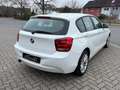 BMW 114 i Limousine SHZG-PDC-TEMPOMAT-START&STOPP Blanco - thumbnail 5