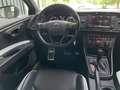 SEAT Leon 2.0 TSI Cupra 290 Dynamic LED ACC RCam Schwarz - thumbnail 12