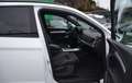 Audi Q5 Q5 40 TDI quattro S-LINE S-tronic LED P-DACH AHV Wit - thumbnail 14