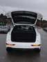 Audi Q5 Q5 40 TDI quattro S-LINE S-tronic LED P-DACH AHV Wit - thumbnail 20