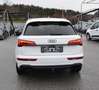 Audi Q5 Q5 40 TDI quattro S-LINE S-tronic LED P-DACH AHV Wit - thumbnail 19