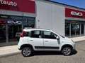 Fiat Panda Panda III 2012 4x4 0.9 t.air turbo 4x4 85cv E6 Blanco - thumbnail 3
