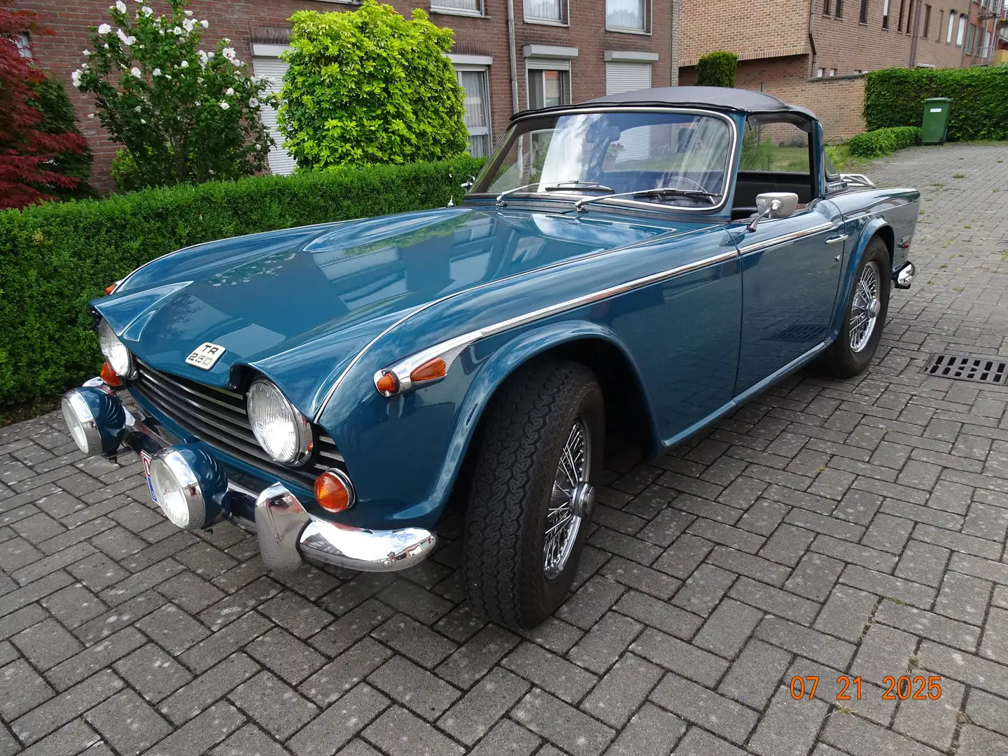 Triumph TR5 TR 250 Blau - 2