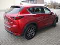 Mazda CX-5 CX-5 SKYACTIV-G 194 Aut. AWD Sports-Line LEDER Rouge - thumbnail 5
