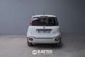 Fiat Panda Pandina 1.0 Firefly Hybrid 70CV Cross Bianco - thumbnail 5