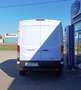Ford Transit Kasten 2,0 EcoBlue L2H2 350 Basis Weiß - thumbnail 5