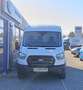 Ford Transit Kasten 2,0 EcoBlue L2H2 350 Basis Weiß - thumbnail 2