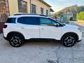 Citroen C5 Aircross 1.5 bluehdi --PREZZO REALE SENZA VINCOLI-- Bianco - thumbnail 5