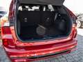 Ford Kuga ST-LINE X 2.5l PHEV NAVI LED HUD B&O Rosso - thumbnail 5