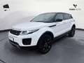 Land Rover Range Rover Evoque 2.0 eD4 5p. SE N1 Bianco - thumbnail 1