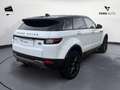 Land Rover Range Rover Evoque 2.0 eD4 5p. SE N1 Bianco - thumbnail 6