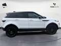 Land Rover Range Rover Evoque 2.0 eD4 5p. SE N1 Bianco - thumbnail 4