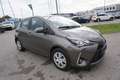 Toyota Yaris 1.5 Dual VVT-iE Active Grau - thumbnail 11