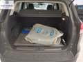 Ford Kuga Kuga 1.6 EcoBoost 150 CV S&S 2WD GPL Grigio - thumbnail 6