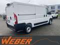 Opel Movano C Kasten L2H1 3,3t Klima Kamera Wit - thumbnail 4
