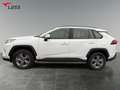 Toyota RAV 4 RAV4 2.5 Business Edition 2xKlima ACC AUT Kam. Blanc - thumbnail 3