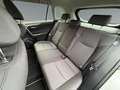 Toyota RAV 4 RAV4 2.5 Business Edition 2xKlima ACC AUT Kam. Blanc - thumbnail 14