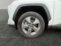 Toyota RAV 4 RAV4 2.5 Business Edition 2xKlima ACC AUT Kam. Blanc - thumbnail 15