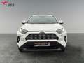 Toyota RAV 4 RAV4 2.5 Business Edition 2xKlima ACC AUT Kam. Blanc - thumbnail 9