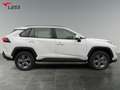 Toyota RAV 4 RAV4 2.5 Business Edition 2xKlima ACC AUT Kam. Blanc - thumbnail 7