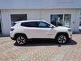 Jeep Compass 1.6 Mjt II 2WD Limited Bianco - thumbnail 3