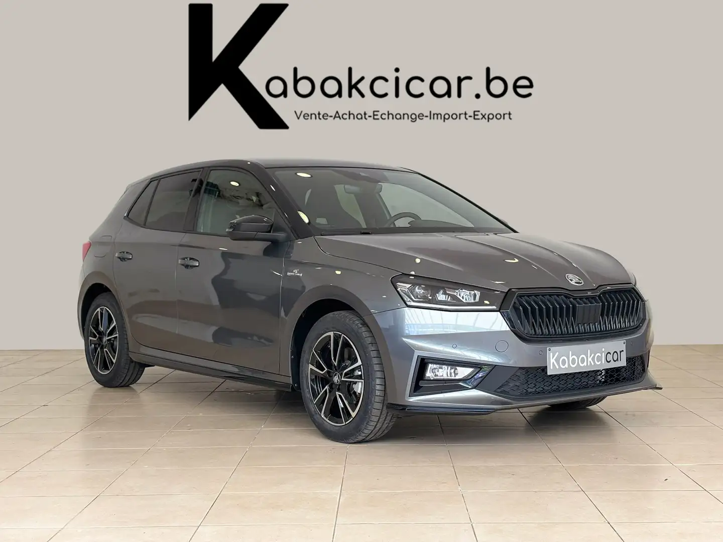 Skoda Fabia 1.0 TSI 116cv DSG/VEH.NEUF/CARPLAY-ANDROID/CAMERA Grijs - 1