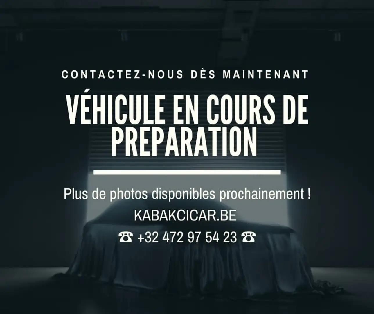 Skoda Fabia 1.0 TSI 116cv DSG/CARPLAY-ANDROID/CAMERA/GARANTIE Grau - 1