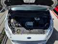 Ford Galaxy 2.0 EcoBlue Business Automatik - MOTORSCHADEN Weiß - thumbnail 9