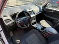 Ford Galaxy 2.0 EcoBlue Business Automatik - MOTORSCHADEN Weiß - thumbnail 12