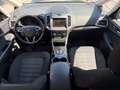 Ford Galaxy 2.0 EcoBlue Business Automatik - MOTORSCHADEN Weiß - thumbnail 14