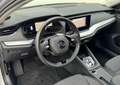 Skoda Octavia Style*LED*RFK*SHZ*NAVI*PDC*uvm Plateado - thumbnail 5