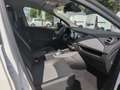Renault ZOE Z.E. 50 R135 Intens (Kauf-Batterie) Blanc - thumbnail 13